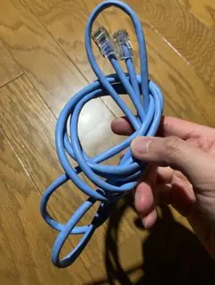 2本セットLANケーブル 青 緑 RJ45コネクタ
