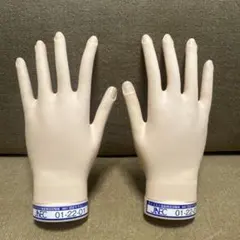 認定モデルハンド(骨折なし) STモデルハンド｜滝川株式会社