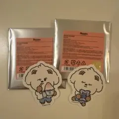 プルバトゥ バムグッ ボムギュ 和紙ステッカー ステッカー シール TXT