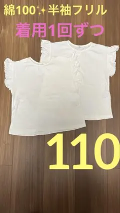 Item thumbnail for item 72df341a-a6d1-4712-926e-54bc877db4de