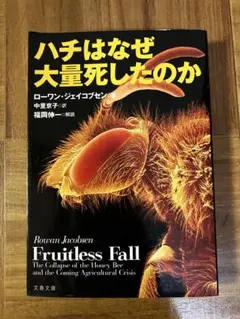 Item thumbnail for item b047e4c8-706e-4734-99ae-7bcc22744959