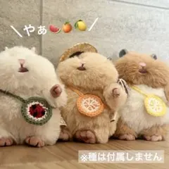 はむにぎり かぶりもの 麦わら帽子 ポシェット風ひまわり - メルカリ