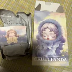 SKULLPANDA L'impressionnisme Teakwood