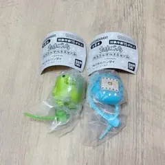 【匿名配送】 たまごっち カラフルマルチチャーム くちぱっち ケーたま