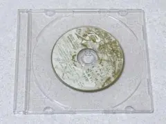 エス　フリートーク・ノンカット版全員サービスCD　神谷浩史　小西克幸　中村悠一