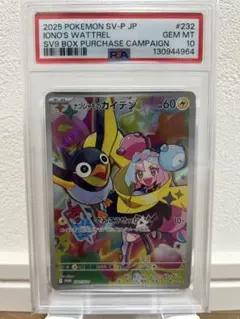 2025年最新】ナンジャモ カイデン psaの人気アイテム - メルカリ