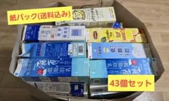 紙パック　43個セット(送料込み)