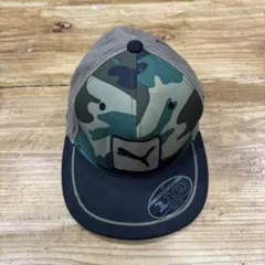 Item thumbnail for item 4bae5070-4393-42f3-a83e-2815b3af1ce4