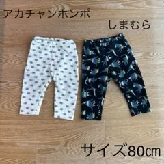 恐竜 パンツ
