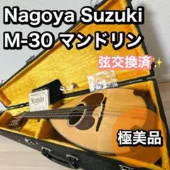 2025年最新】マンドリン M-30の人気アイテム - メルカリ