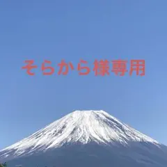 そらからちゃん様 リクエスト 6点 まとめ商品
