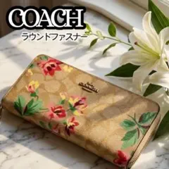 希少✨コーチ 長財布 PVC ラウンドファスナー シグネチャー 花柄 総柄