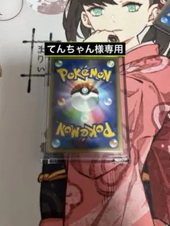 てんちゃん様専用