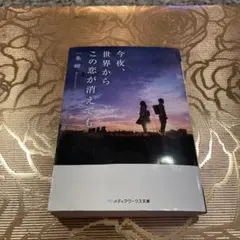 今夜、世界からこの恋が消えても