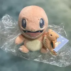 ポケモン Little daydream ヒトカゲ リザードン ぬいぐるみ