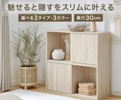 LOWYA 収納棚 カラーボックス 2段タイプ