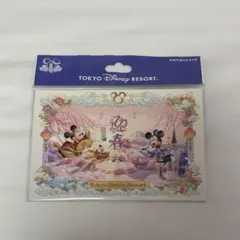 ディズニーランド　2025 年賀はがき