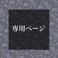 専用ページ