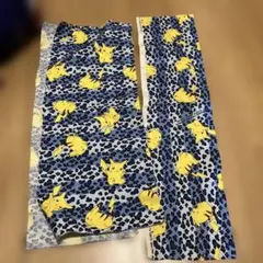 ピカチュウ グレーのフェルト帽 ゴッホピカチュウ 台紙のみ - メルカリ