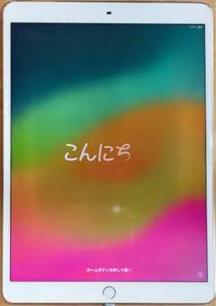 Apple iPad Pro 10.5インチ Wi-Fi 256GB ゴールド