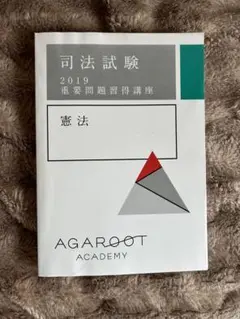 司法試験 2026 重要問題習得講座 刑法　裁断済み 新品 最新 2026 刑法 アガルート 重要問題習得講座 予備試験司法