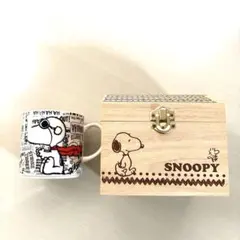 桃様専用！南部鉄器 岩鋳 SNOOPY (茶屋)急須＆急須敷 - メルカリ