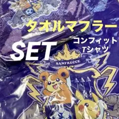 レア 非売品　サンフレッチェ広島 メガエッグベースボールTシャツ 2023 レア 非売品 サンフレッチェ広島 メガエッグベースボールTシャツ