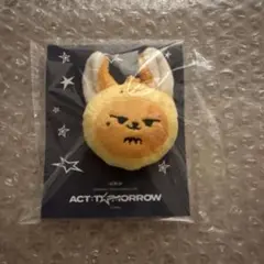 2025年最新】TXT プルバトゥ ファンチュンの人気アイテム - メルカリ