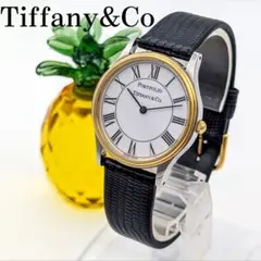 2025年最新】ティファニー ポートフォリオの人気アイテム - メルカリ