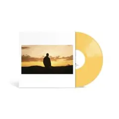 Troye Sivan リキッド入りレコード - メルカリ