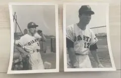 Item thumbnail for item 9c12136b-4374-4ffe-a888-aed56adc810e