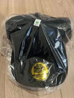 ぽこあポケモン　エディオン特典　オリジナルキャップ　メタモン　新品未使用