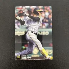 Item thumbnail for item 7ccc12fb-35ed-4035-8db6-bb39940927dc