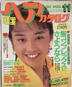 1993年9月号 明星ヘアカタログ 南野陽子 中山美穂 他 - メルカリ
