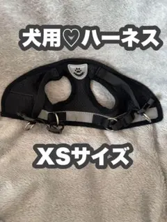 Item thumbnail for item ebffbab0-512c-4101-8049-cfd6cadba6fb