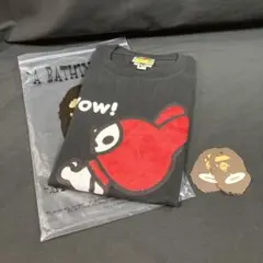 【未使用】ベイプT MY MELODY BOA TEE Mサイズ