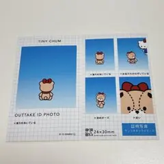 サンリオ 証明写真風スマロイド タイニーチャム ハローキティ