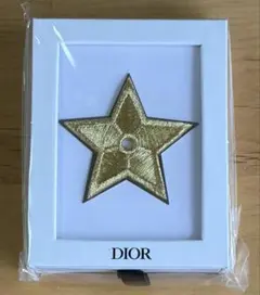 Dior 星型ピンバッチ