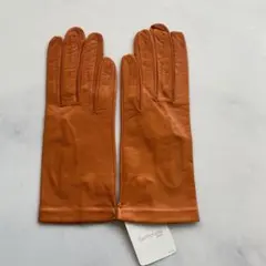 2025年最新】セルモネータグローブスの人気アイテム - メルカリ