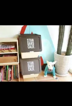 完売品　スタンダードカルフォルニア　STACKSTO