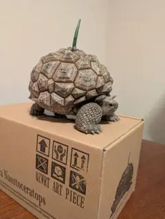 新品　ozwrt Dioscorea Nasutoceratops
