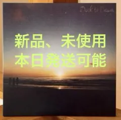 Lamp 一夜のペーソス ランプ アナログレコード 2LP 会場限定盤 - メルカリ