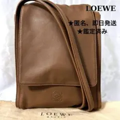 LOEWE ロエベ ナッパアイレ ショルダーバッグ ブラウン レザー　保存袋あり