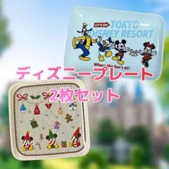 東京ディズニーリゾート 小皿 2枚セット