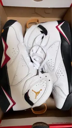 Air Jordan 7 Retro ‘Cardinal’ (2022) GSのサムネイル