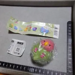 CORONCO KOTORI ころんこ ことり コザクラインコ