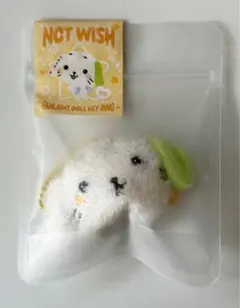 NCT WISH wishdoll ペンライト　キーリング　めいぐるみ　リョウ