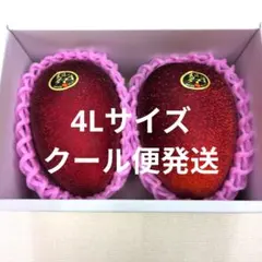 4個 宮崎県産 太陽のタマゴ 4Lサイズ 2玉入り化粧箱 × 2 （合計4個