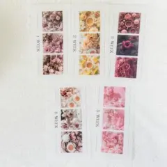 Item thumbnail for item 6410924a-2dce-4f56-92d0-6b058801c65c