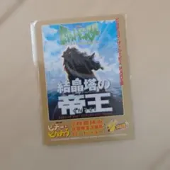 旧裏】未開封 ポケモン 結晶塔の帝王 エンテイ ピチュー ピカチュウ